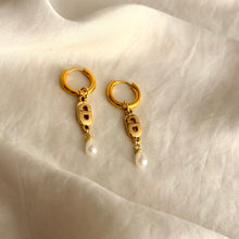 Load image into Gallery viewer, Authentic repurposed Dior logo CD earrings
